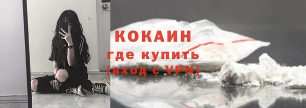 стафф Дмитровск