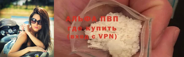 стафф Дмитровск