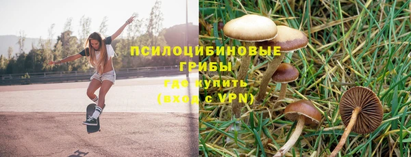 каннабис Дмитриев