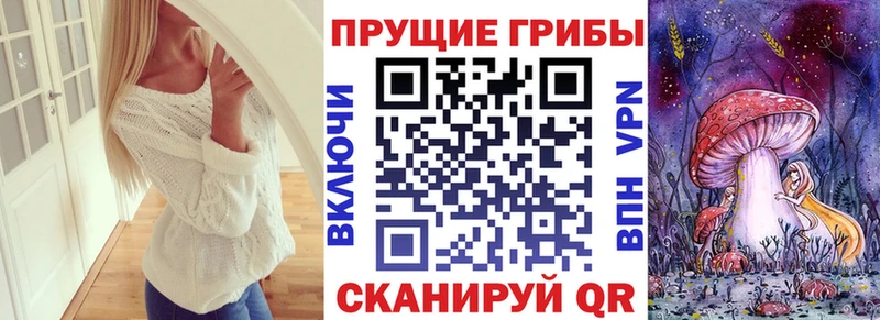Псилоцибиновые грибы MAGIC MUSHROOMS  Купить закладки  Петропавловск-Камчатский 